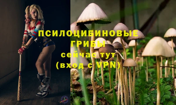винт Алексин