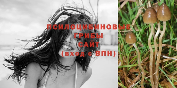 винт Алексин